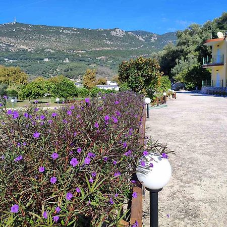 Villa Perkemes Apartments Párga Kültér fotó
